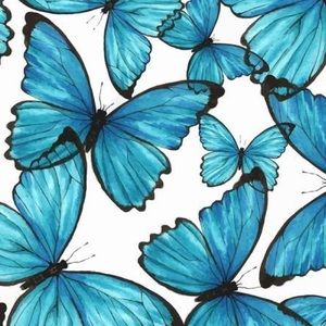 note to anyone interested in anything !!